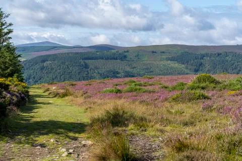 Wicklow way, county wicklow. Stock Photos