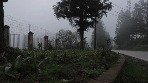 Wide abandoned place view 스톡 동영상 154231107