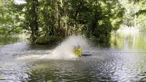 Wide Aerators Machine for Fish Ponds Stock Footage 301878672