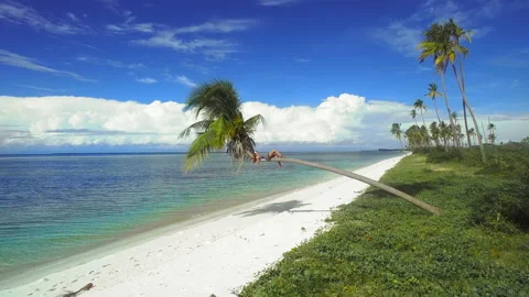 Wide of aerial drone quad copter footage of beach woman wearing virtual reality Vídeos de archivo 199622013