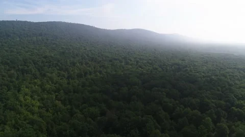 Wide aerial over rainforest tree canopy in Pennsylvania low clouds at sunset Stock Footage 203916062