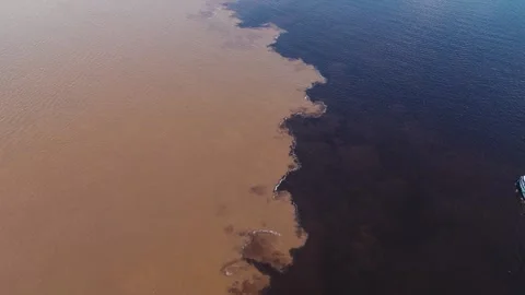 Wide aerial panorama of the Amazon river confluence, Meeting of the Waters Stock Footage 322114635