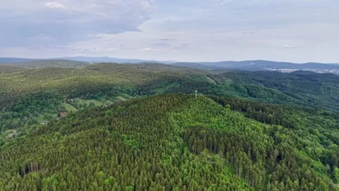 Wide aerial panorama of dense mixed forest across rolling hills with Stock Footage 342359296