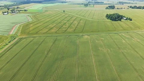 Wide aerial of patchwork grain fields under bright sky Stock Footage 315205656