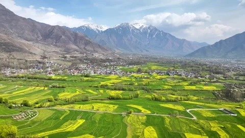 Wide aerial pullback over yellow farms and Himalayan mountains. Видео 333794302