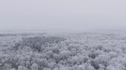 A wide aerial shot captures the expansive Loiret forest in France blanketed in Stock Footage 346673084