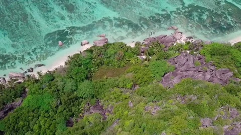 Wide aerial top down shot: Tropical coastline. HD50p Stock Footage 242016478