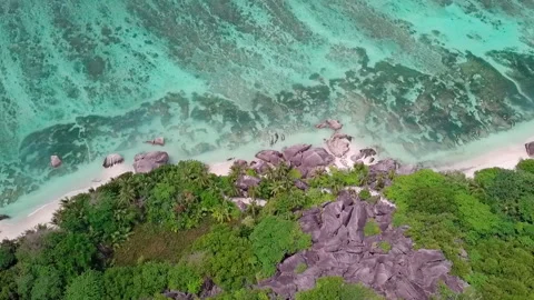Wide aerial top down shot: Tropical coastline. HD50p Stock Footage 242017226
