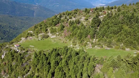 Wide aerial view of alpine clearing beside winding forest mountain road Stock Footage 343948448