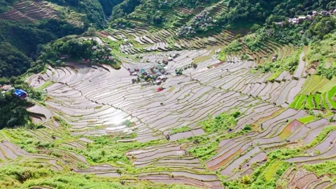 Wide Aerial View Of Batad Rice Terraces With Sun Reflection In Water Philippines Stockbeeldmateriaal 333153308