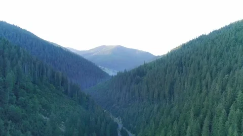 Wide aerial view of a deep forested valley in the Carpathian Mountains Stock Footage 330726632