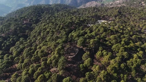 Wide aerial view of forested mountainside with fields in Nepal Stock Footage 342136246