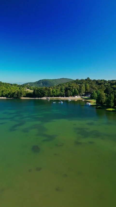 Wide aerial view of a green algae-tinted reservoir bordered by pine forest Stock Footage 346015208