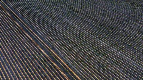 Wide aerial view showing the scale of a ... | Stock Video | Pond5