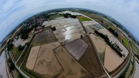 Wide aerial view sweeps over rice paddies Видео 345395144