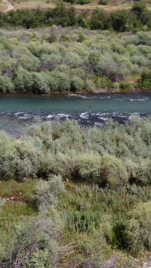 Wide aerial view of turquoise mountain river flowing through dense green shrubs Stock Footage 336691237