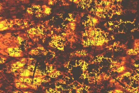 Wide amber slice  background Stock Illustration