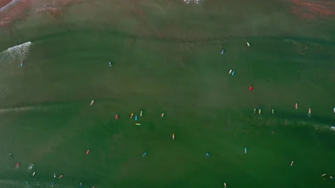 Wide angle aerial flying drone video shot of dozens surfers floating on waves Stock Footage 234441353