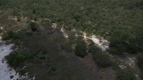 Wide-angle aerial perspective of an active restoration site in the Brazilian Video stock 327395352