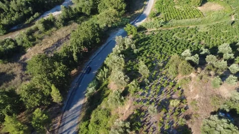 Wide angle aerial view of an SUV on a road trip next to a river Видео 343960776