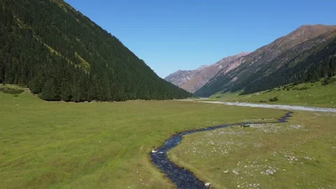 Wide angle aerial view of winding mountain stream in green valley with forest Video stock 335647455