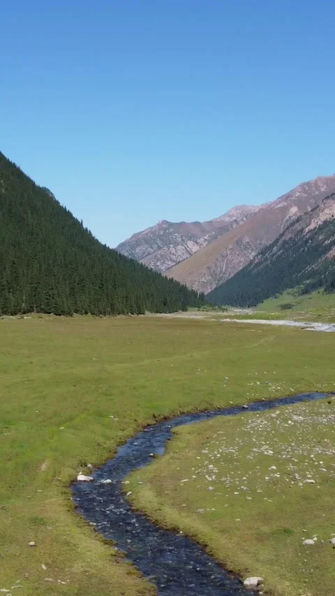Wide angle aerial view of winding mountain stream in green valley with forest Stock Footage 336690017