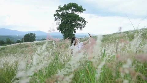 Wide angle around landscape view natural white grass flowers Stock Footage 134814908