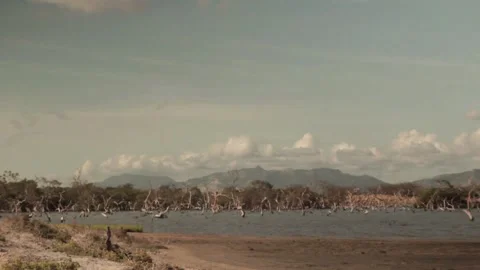 Wide angle of desert scenery at La Guajira, Colombia - South America Stock Footage