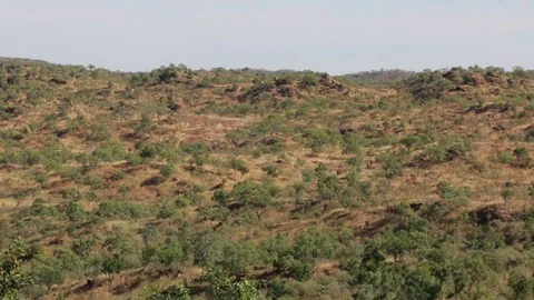 Wide angle of dry Australian outback landscape Stock Footage 71185655