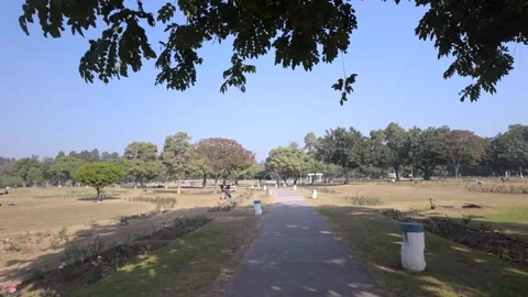 Wide Angle Establishing Shot of a Sunny Pathway in a Beautiful Green Public Park Stock Footage 329798209