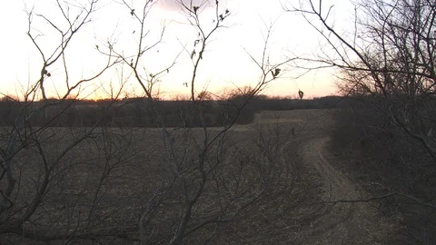 Wide Angle Field At Evening  Video stock 92677818