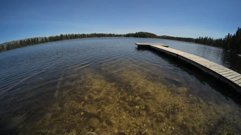 Wide angle fish view of a small northern lake surrounded by spruce trees with Stock Footage 335767904