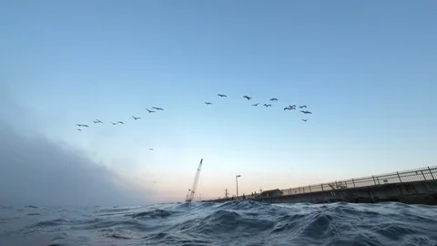 Wide Angle of Flock of Seagulls Flying in the Sky Over the Ocean and a Pier - Video stock 114120487