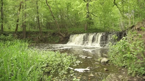 Wide angle of a forest waterfall scene in early summer morning Stock Footage 159981049