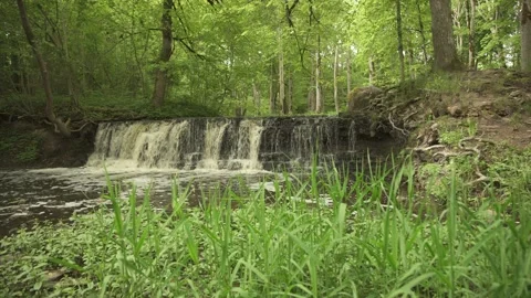 Wide angle of a forest waterfall scene in early summer morning Stock Footage 159981149