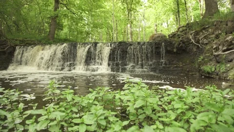 Wide angle of a forest waterfall scene in early summer morning Stock-Footage 159981199
