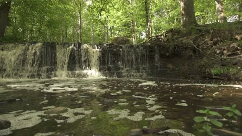 Wide angle of a forest waterfall scene in sunny summer morning Stock Footage 159981216