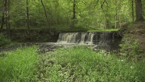 Wide angle of a forest waterfall scene in early summer morning Stock Footage 159981315