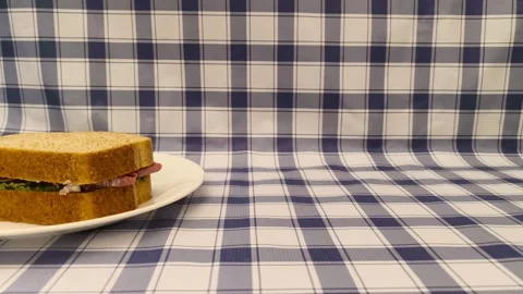 Wide angle front view of sandwich on a plate placed on a picnic plaid tablecloth Video stock 318261368