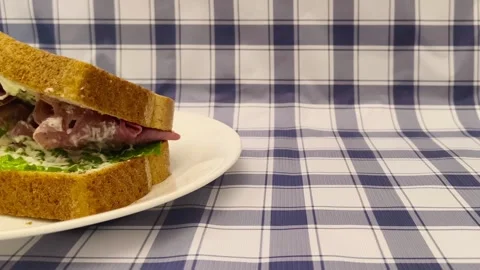 Wide angle front view of sandwich on a plate placed on a picnic plaid tablecloth Stockbeeldmateriaal 318261559