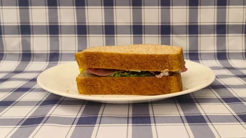Wide angle front view of sandwich on a plate placed on a picnic plaid tablecloth Stockbeeldmateriaal 318262003