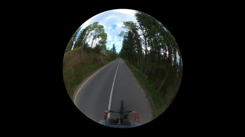 Wide angle globe like view of a cyclist riding along a path through a forest Stock Footage 345843053