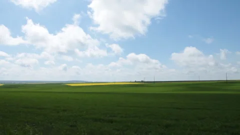 Wide Angle Green Wheat Fields Rolling Hills Bright Summer Day Stock Footage 328231227