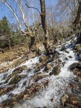 Wide Angle Gurlek Waterfall with Ancient Plane Trees Buca Turkey Stock Photos