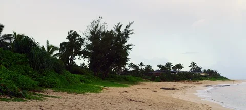 Wide Angle of Homes on a Beach in Oahu, Hawaii - Oahu, Hawaii (Shot on RED) Stock Footage 113955989