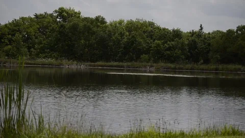 Wide Angle of a lake Stock Footage 108339695