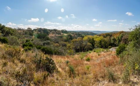 Wide Angle Landscape View of Typical Texas Hill Country Dense Vegetation Stock Photos