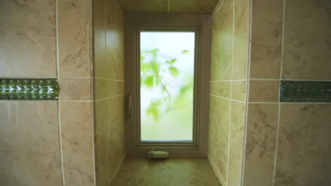 Wide angle looking through window view on aspen tree branches in wind Stock Footage 138133834