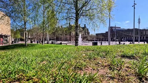 Wide-angle low-angle cinematic view of grass, trees, and City Hall in Bradford Stock Footage 334995719