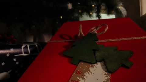 Wide Angle Macro View Under Christmas Tree of Gift With Tag Stock-Footage 233456999